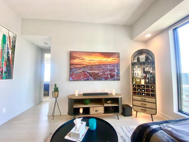 Luxury Downtown Apartment w/ parking and amenities gallery image 4