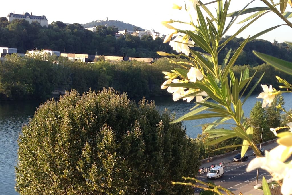 Terrasse sur Saône