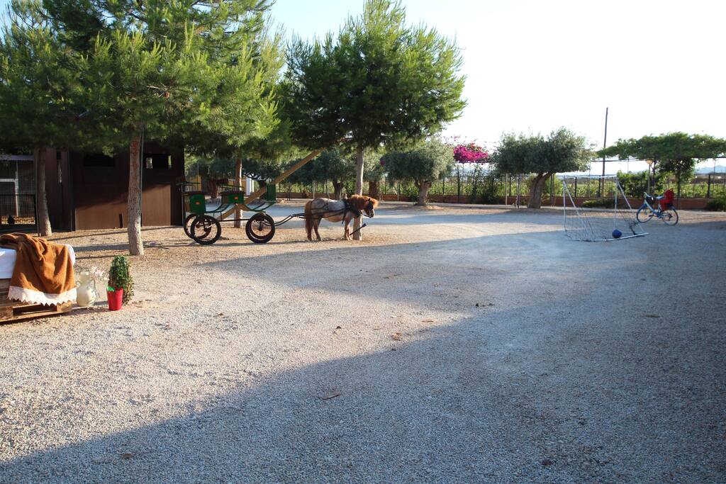 ¿Estás listo para un paseo en poni o en bicicleta por el campo? o un partido de futbol... / Are you ready for a ride on a pony or a bike in the countryside? or maybe a football match .