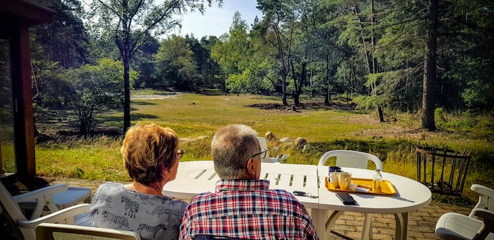 De Weeser Enk: Villa with private estate in Epe