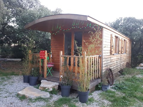 cottage: unique caravan surrounded by nature