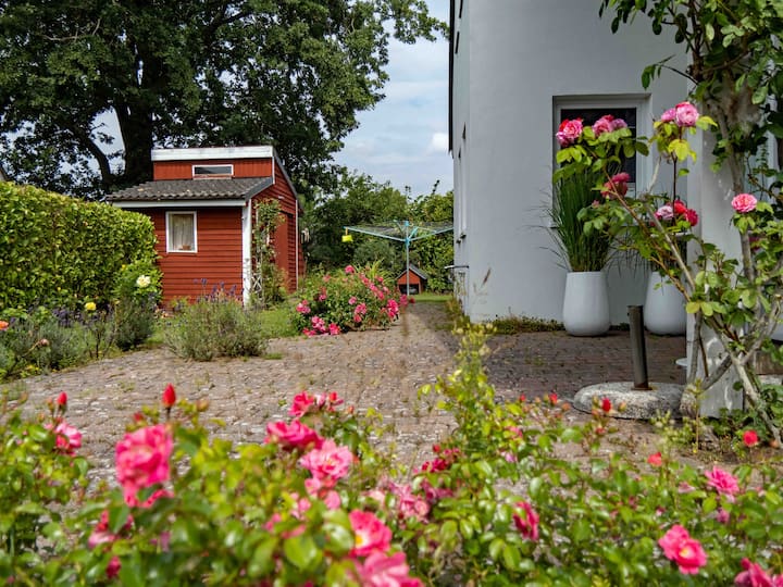 Comfortable in-law apartment in the rose garden