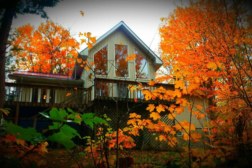Exterior in fall