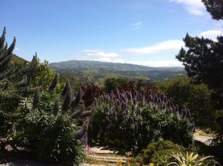 Retreat Overlooking Pastures Of Heaven - Holman Ranch, Carmel Valley