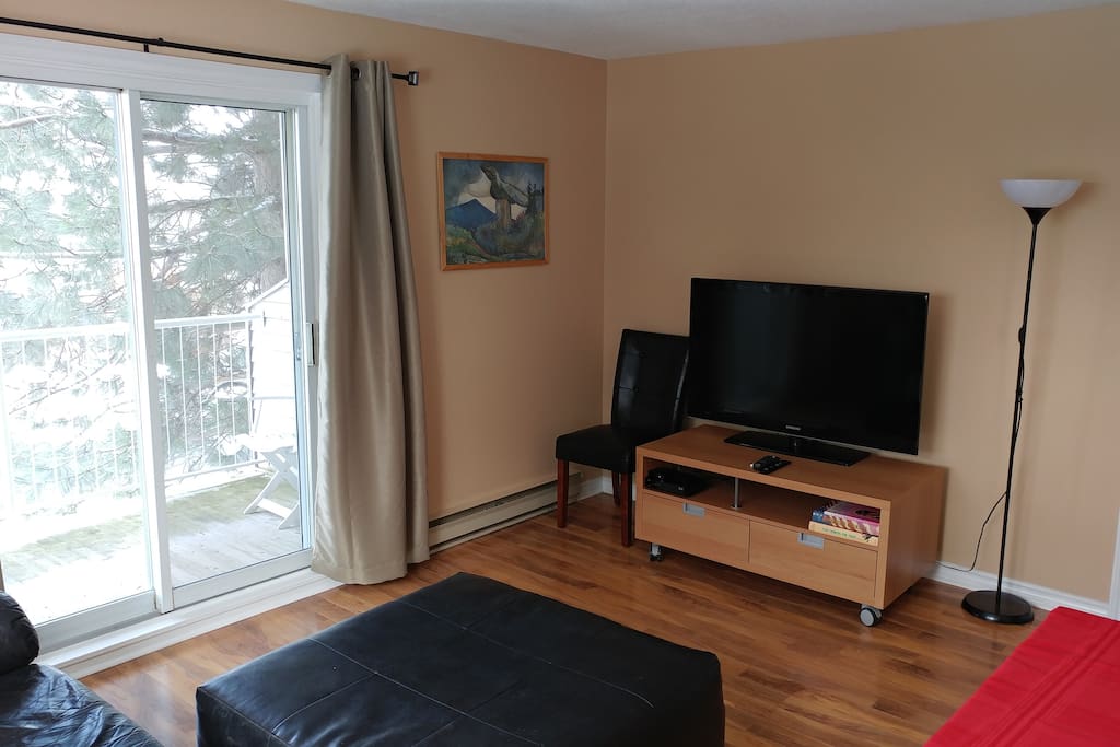 46" TV with cable and Netflix in living room.