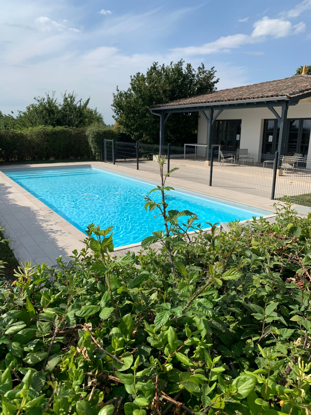 A tranquil outdoor space features a swimming pool surrounded by greenery. The pool's clear water reflects the sky, while a covered terrace with seating is visible in the background, providing shaded relaxation. The area is designed for comfort and leisure amidst the natural landscape.