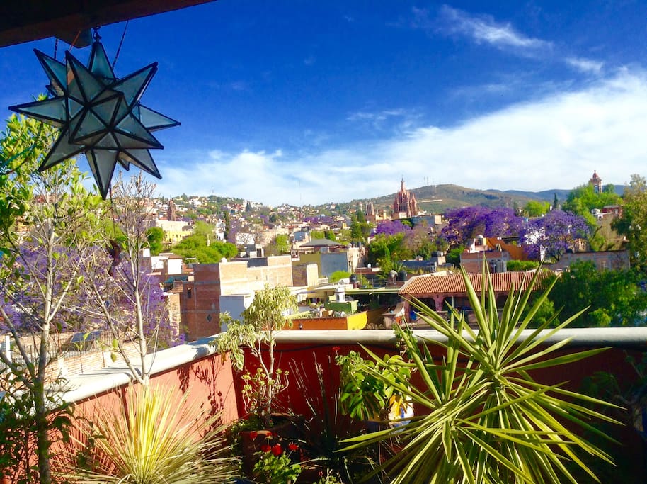 The San Miguel hills are alive with color and hummingbirds as seen from our terrace