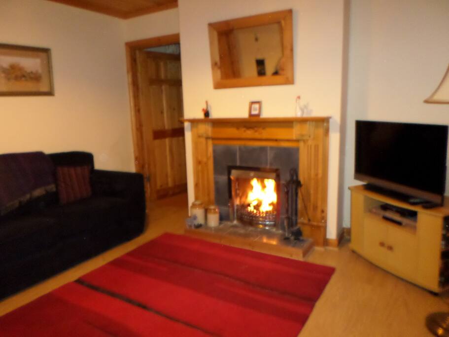 Living room with open fire