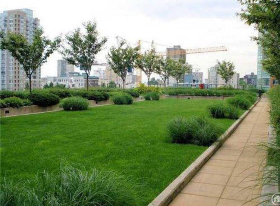 Rooftop patio