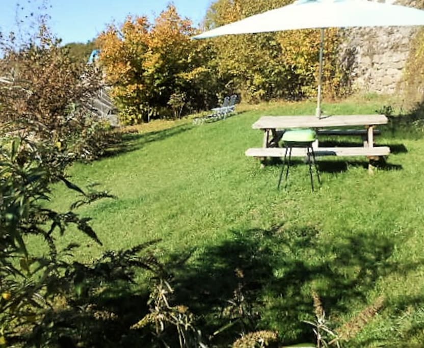 The back garden