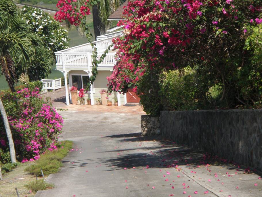Private Driveway to the house.