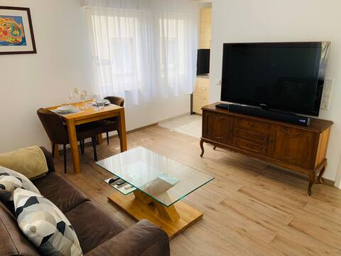 Renovated 2-room ground floor apartment