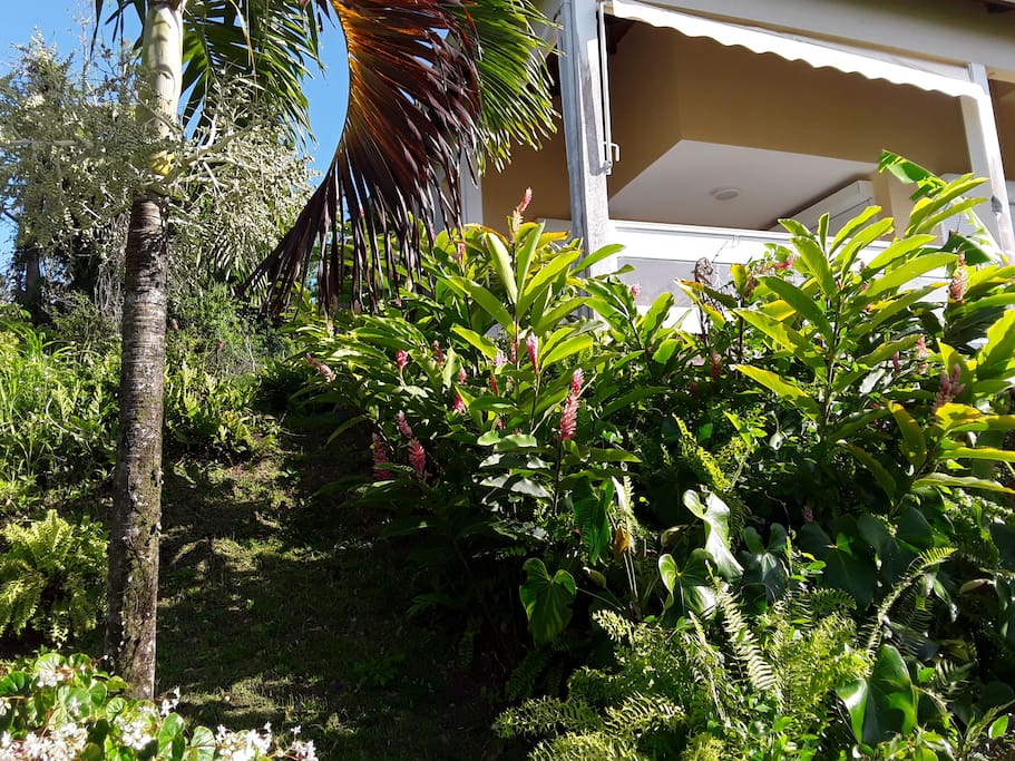 Jardin