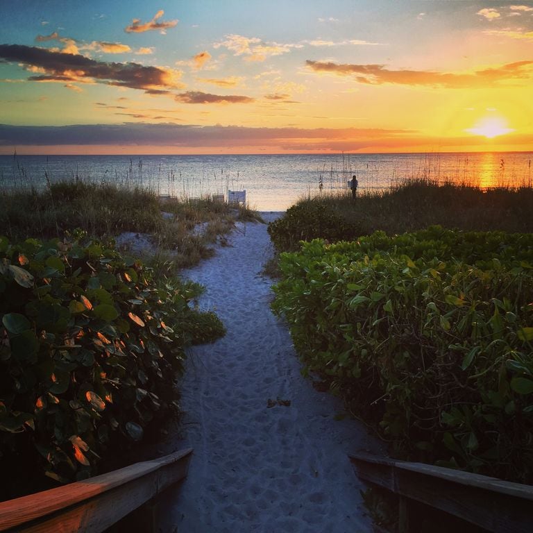 A sandy pathway leading to a beach is framed by lush dune vegetation. The scene captures a vibrant sunset over calm waters, with soft clouds reflecting warm hues. Natural light creates an inviting atmosphere, highlighting the serene transition from land to sea.