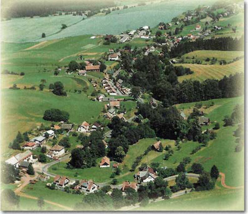 Bukovina u Čisté