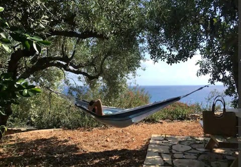 An Eden For Two+