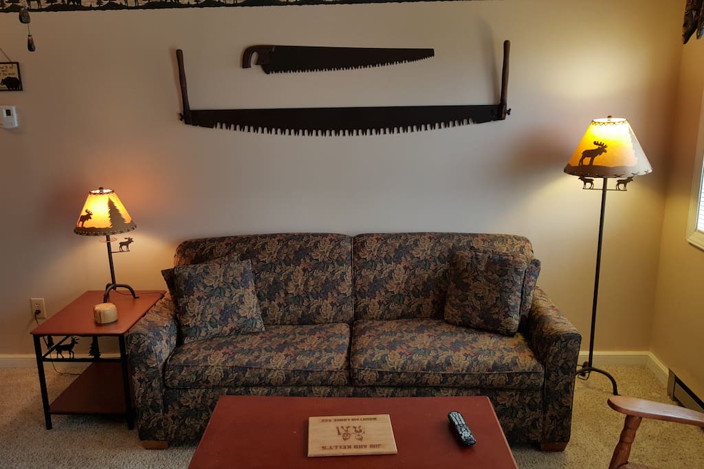 Sofa Sleeper in the living room