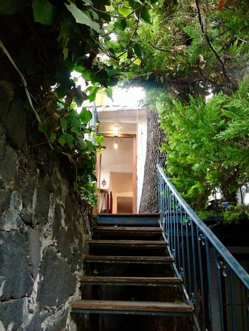 El ingreso a la "casa de campo" en medio de la ciudad.