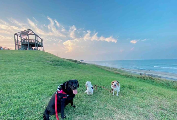 Ibaraki, Higashiibaraki District Arrendamentos de férias e casas