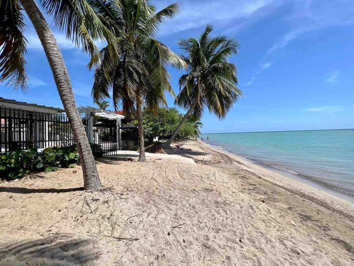 PR Rental Paradise Beach Front House Houses for Rent in Cabo Rojo