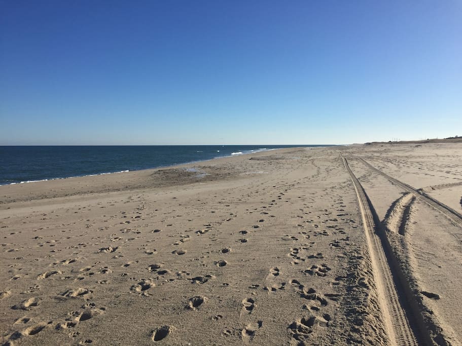 Beautiful Nauset Beach is under a mile from the house.