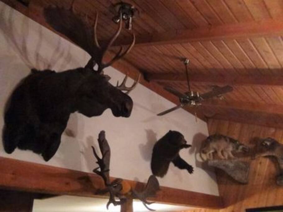 Genuine lodge decor throughout the property