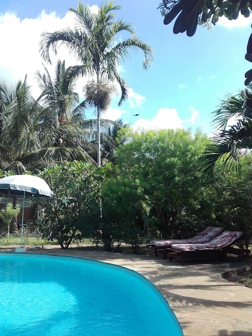 Der Pool - mit Liegebetten für jeden Gast.
*the pool with pool beds for everyone.