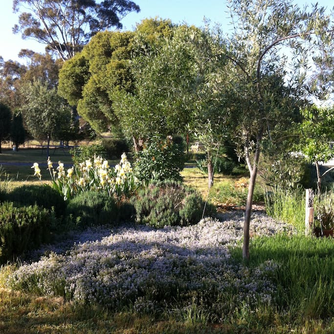 large garden. and vegetable patch.