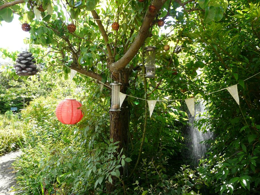 Outdoor Shower (Cold!)