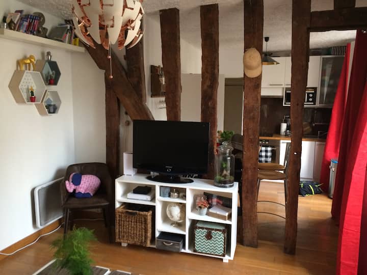 Lovely apartment near Bastille