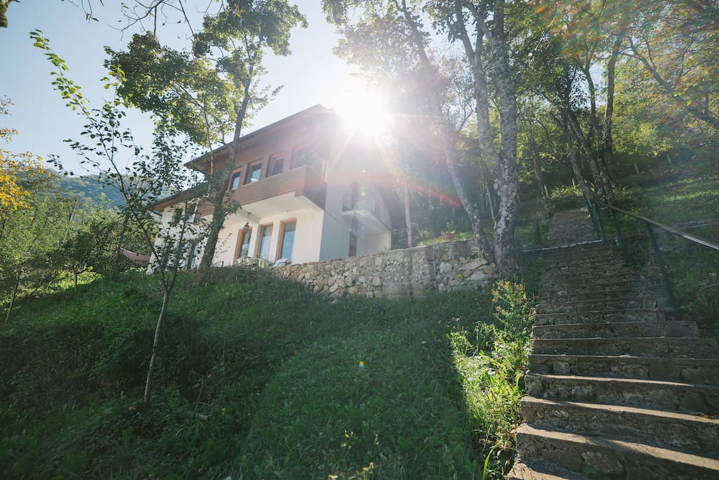 This apartment is situated ideally for nature lovers