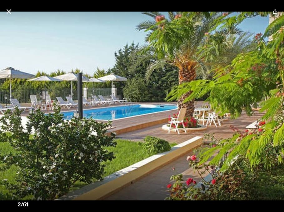 55 Sqm swimming pool