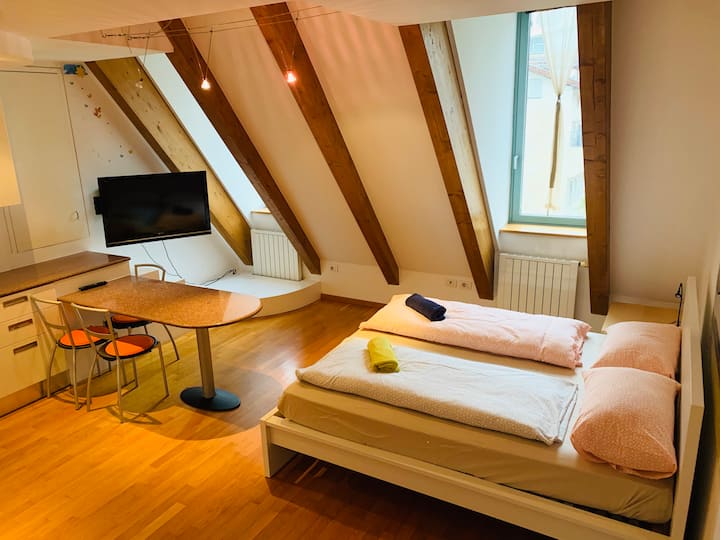 Bolzano Vacation Rentals & Homes TrentinoSouth Tyrol, Italy Airbnb