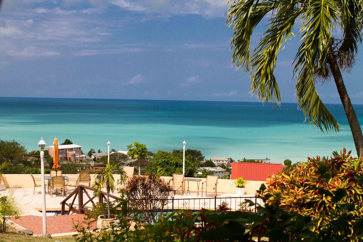 A scenic view of the Caribbean Sea captures vibrant turquoise waters and a clear sky. The image includes a large pool area with lounge chairs and umbrellas positioned along the water's edge, surrounded by lush greenery and tropical plants.