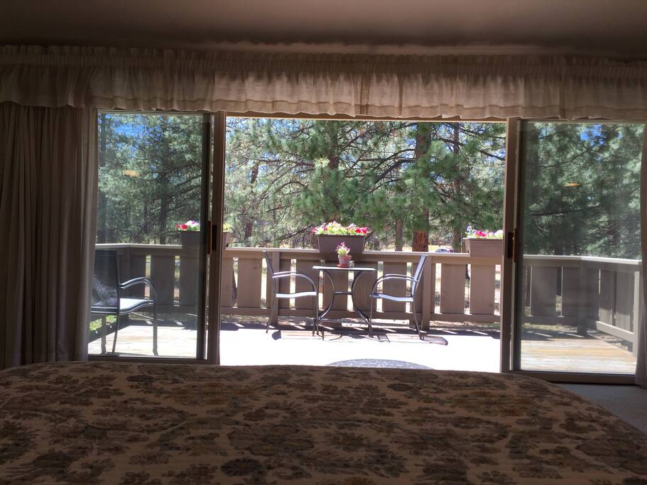 View from the bed