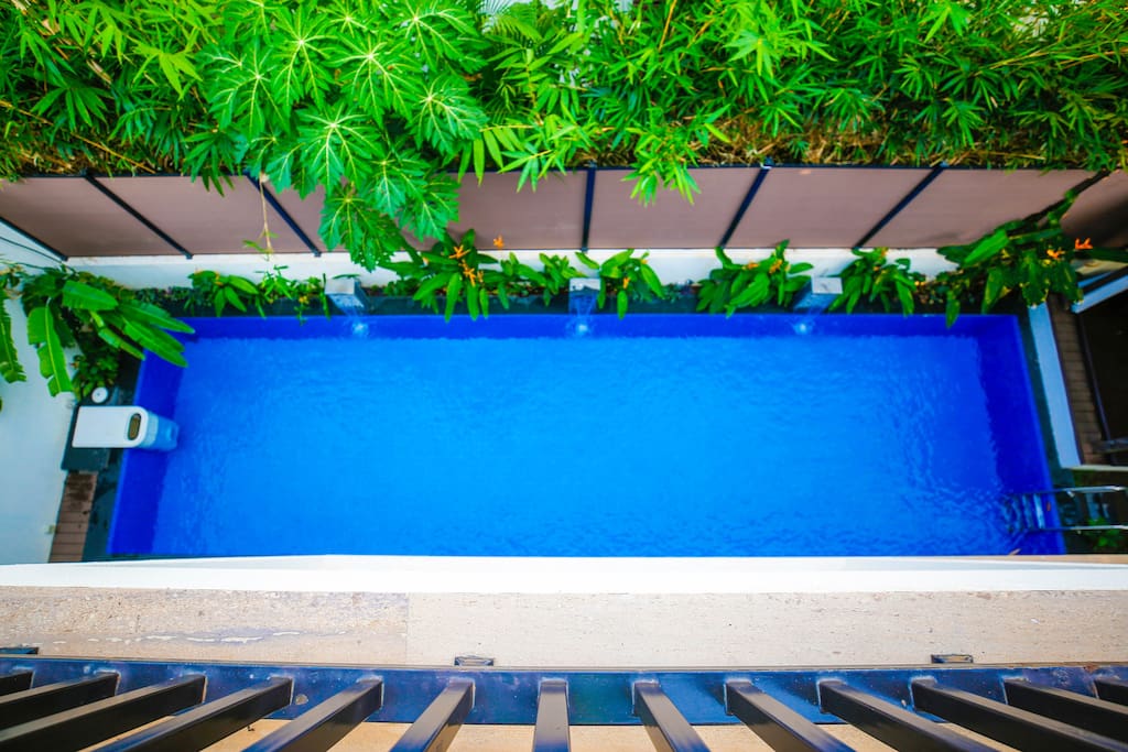 The 40ft Lap pool