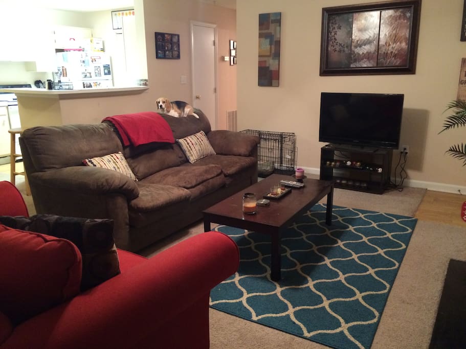 Note: These photos are actually from my old apartment, but the set-up is almost identical. Updated pics coming soon!