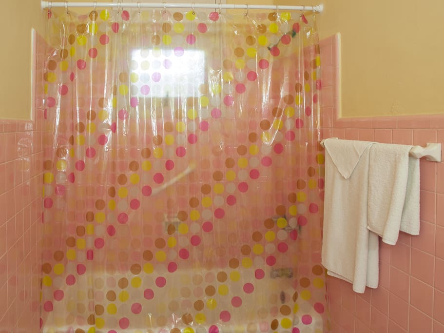 Bathroom curtain