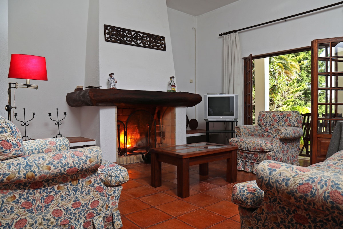 A cozy living area features a traditional fireplace with a warm glow, surrounded by floral-patterned armchairs. A wooden coffee table sits centrally, and a television is positioned nearby. Large glass doors open to the garden, allowing natural light to brighten the space.