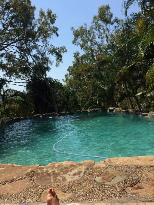 View over pool