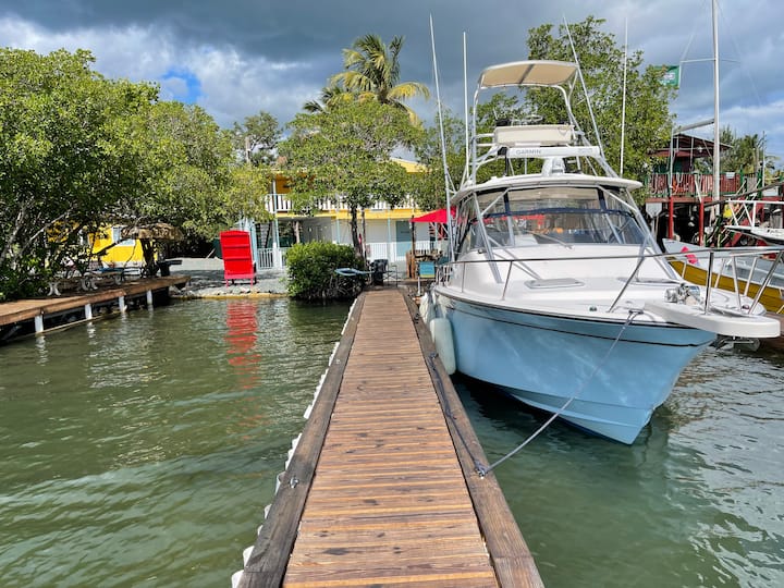 NEW! Stunning Bay View Sun Deck Kayaks Docks Apartments for