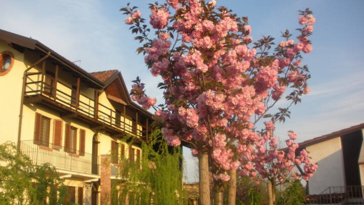 1. obrázok ponuky zrekonštruovaný statok