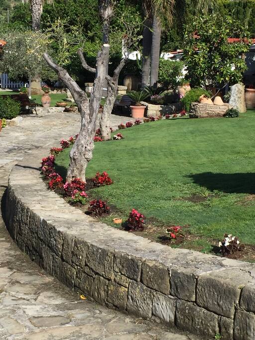 Giardino
