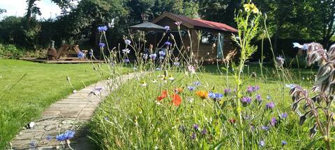 Log Cabin Cork with Hot tub/ Sauna hire available.