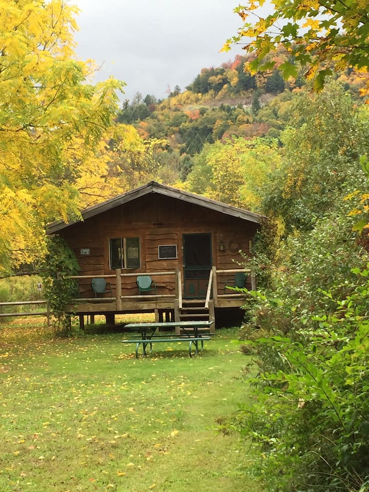 Catskill Mountain "Oquago" Cabin Cabins for Rent in Downsville, New