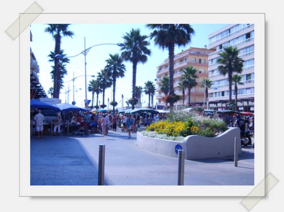 marché régional 4 matins/semaine à 100m appartement