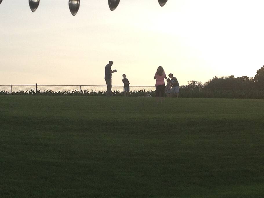 read the csi construction contract administration practice