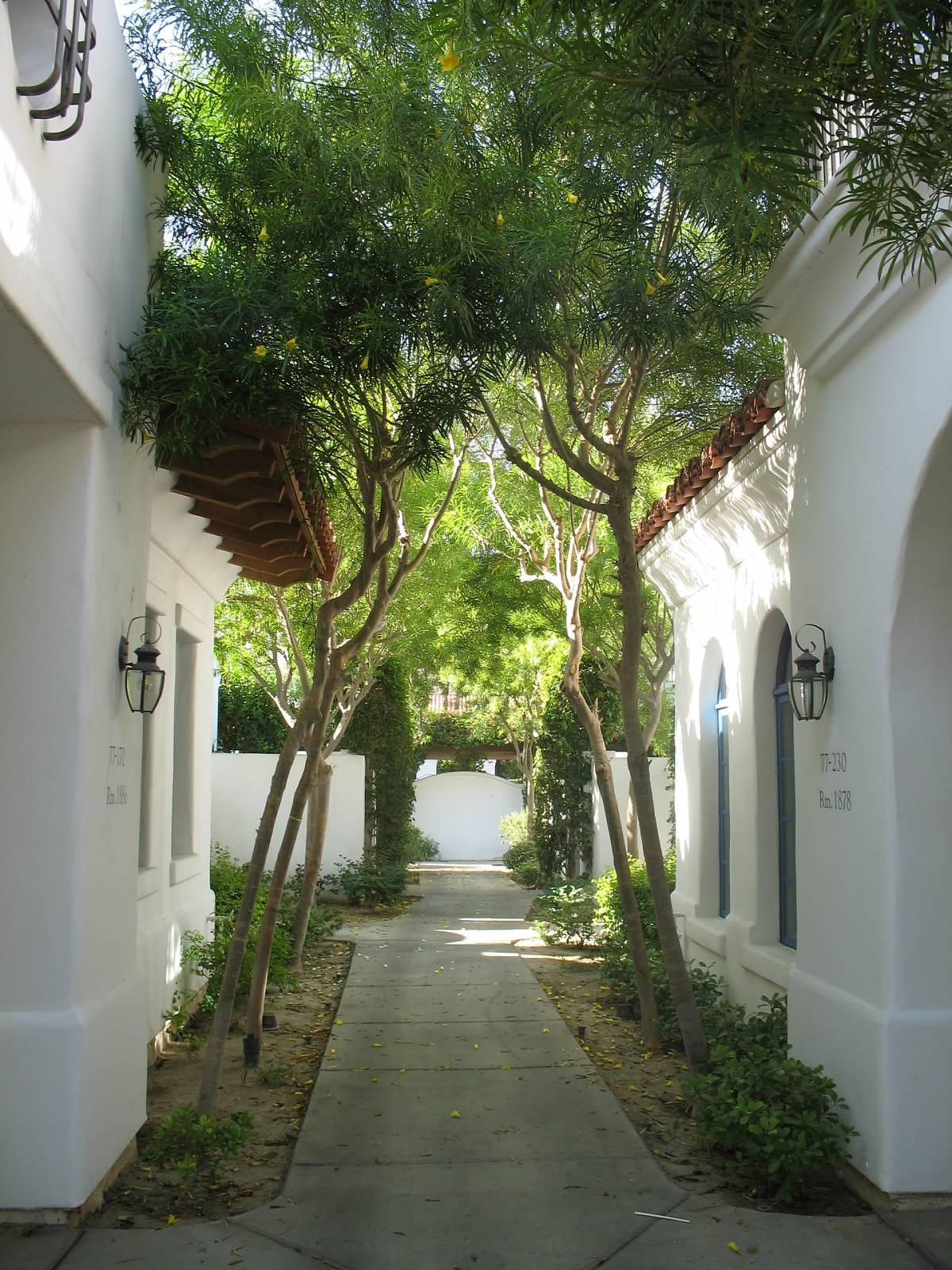 A serene pathway is bordered by lush greenery and trees, leading between two white-walled buildings. The path is lined with soft earth and small plants, enhancing the tranquil atmosphere of the villa area.