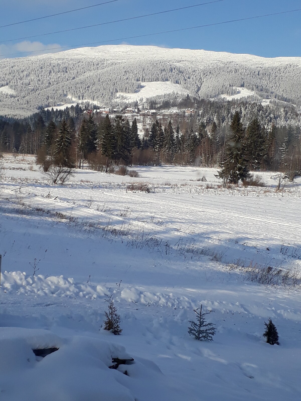 A serene winter landscape displays a blanket of snow covering the ground and trees. Majestic mountains rise in the background, partially shrouded in clouds. The scene captures the tranquility of nature, with rolling hills and tall evergreens dotting the horizon.