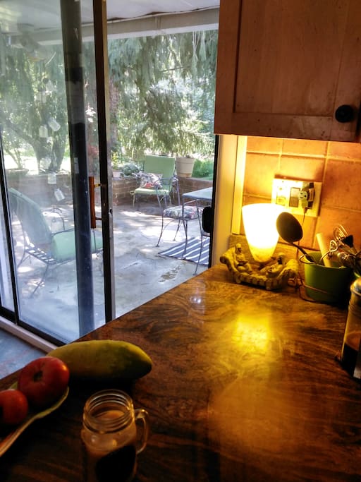 My kitchen counter and door to patio. Also on counter veggies from garden